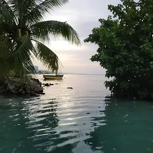  Apartment Munzels Oceanview Retreat Jamaica